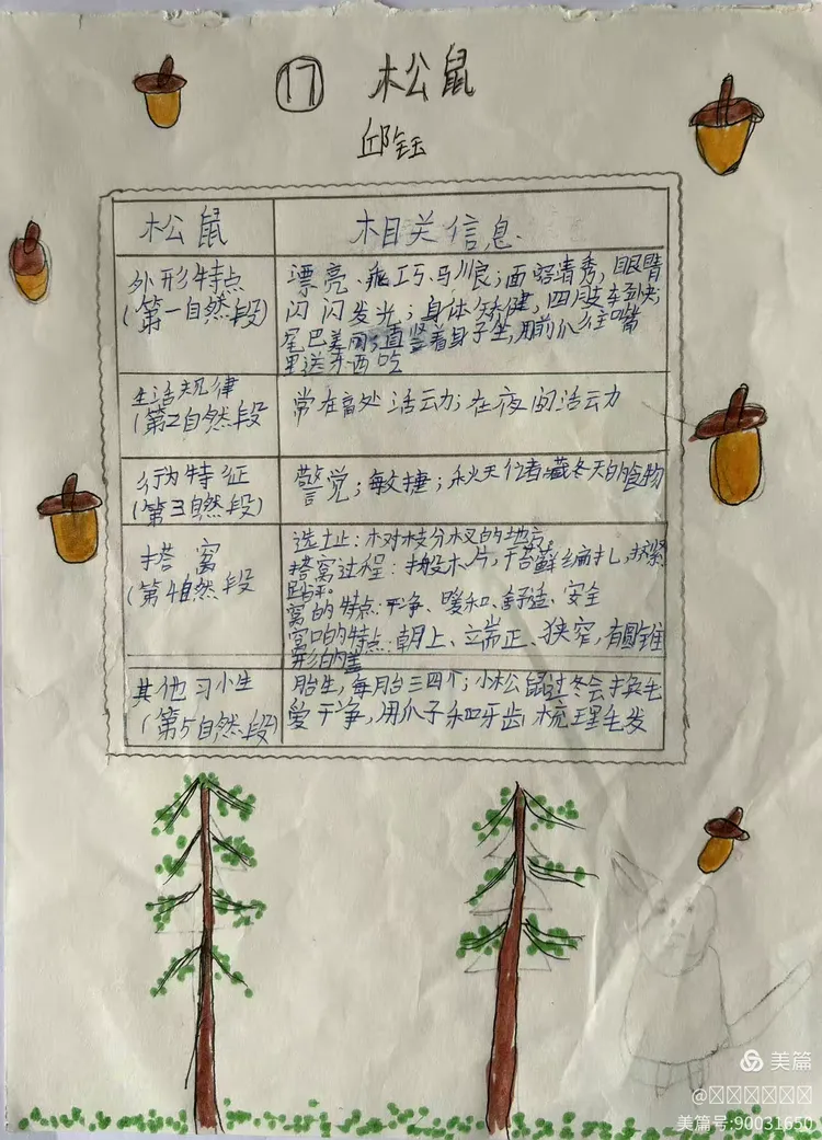 课文《松鼠》内容归纳整理